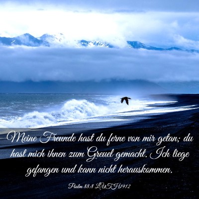 Picture 03 - Psalm 88:8 LUTH1912 - Meine Freunde hast du ferne von mir getan; du - Bible Verse Picture