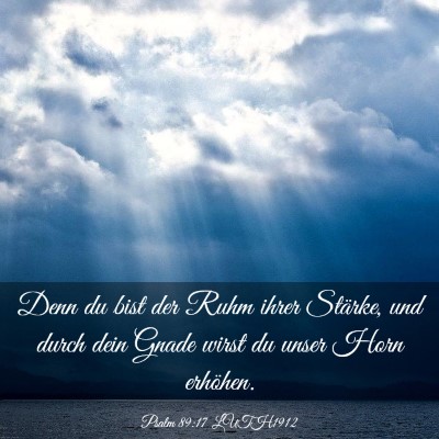 Picture 03 - Psalm 89:17 LUTH1912 - Denn du bist der Ruhm ihrer Stärke, und durch - Bible Verse Picture