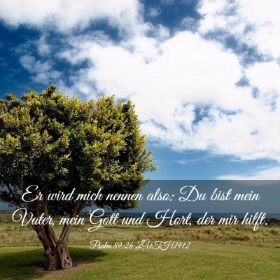 Picture 03 - Psalm 89:26 LUTH1912 - Er wird mich nennen also: Du bist mein Vater, - Bible Verse Picture