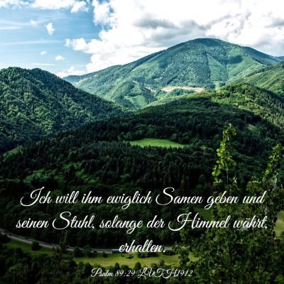 Picture 03 - Psalm 89:29 LUTH1912 - Ich will ihm ewiglich Samen geben und seinen - Bible Verse Picture