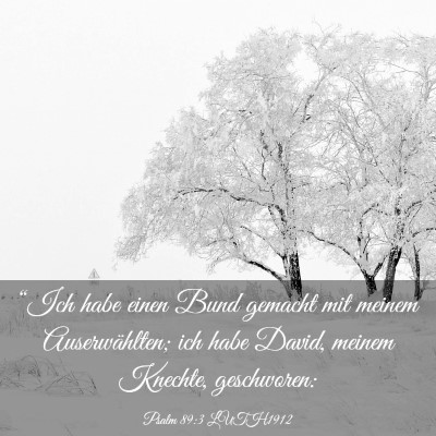 Picture 03 - Psalm 89:3 LUTH1912 - “Ich habe einen Bund gemacht mit meinem - Bible Verse Picture