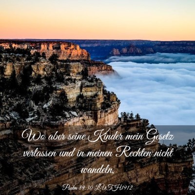 Picture 03 - Psalm 89:30 LUTH1912 - Wo aber seine Kinder mein Gesetz verlassen und in - Bible Verse Picture