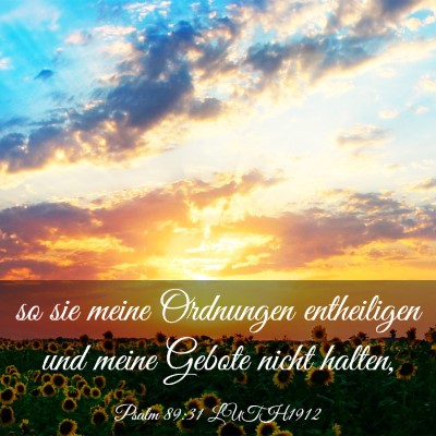 Picture 03 - Psalm 89:31 LUTH1912 - so sie meine Ordnungen entheiligen und meine - Bible Verse Picture