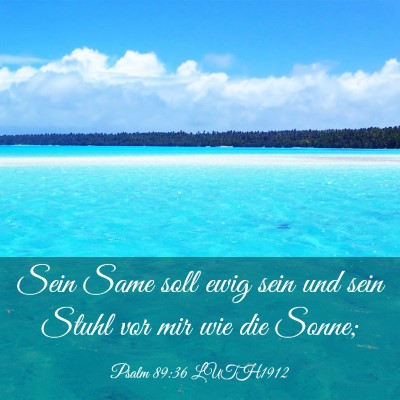 Picture 03 - Psalm 89:36 LUTH1912 - Sein Same soll ewig sein und sein Stuhl vor mir - Bible Verse Picture