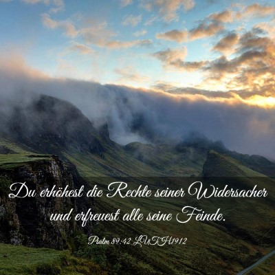 Picture 03 - Psalm 89:42 LUTH1912 - Du erhöhest die Rechte seiner Widersacher und - Bible Verse Picture