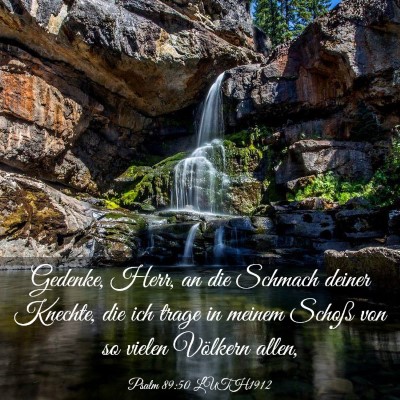 Picture 03 - Psalm 89:50 LUTH1912 - Gedenke, Herr, an die Schmach deiner Knechte, die - Bible Verse Picture