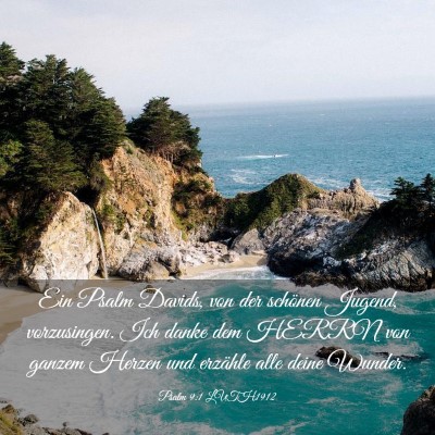 Picture 03 - Psalm 9:1 LUTH1912 - Ein Psalm Davids, von der schönen Jugend, - Bible Verse Picture
