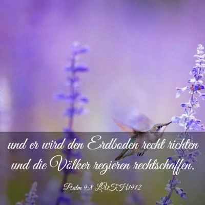 Picture 03 - Psalm 9:8 LUTH1912 - und er wird den Erdboden recht richten und die - Bible Verse Picture
