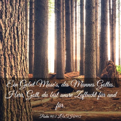 Picture 03 - Psalm 90:1 LUTH1912 - Ein Gebet Mose's, des Mannes Gottes. Herr, Gott, - Bible Verse Picture