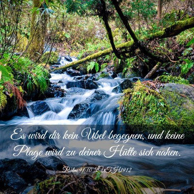 Picture 03 - Psalm 91:10 LUTH1912 - Es wird dir kein Übel begegnen, und keine Plage - Bible Verse Picture