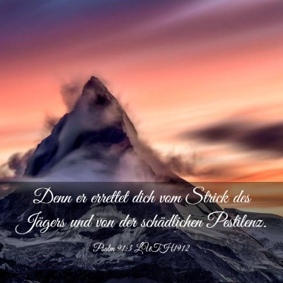 Picture 03 - Psalm 91:3 LUTH1912 - Denn er errettet dich vom Strick des Jägers und - Bible Verse Picture