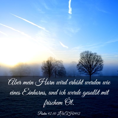 Picture 03 - Psalm 92:10 LUTH1912 - Aber mein Horn wird erhöht werden wie eines - Bible Verse Picture