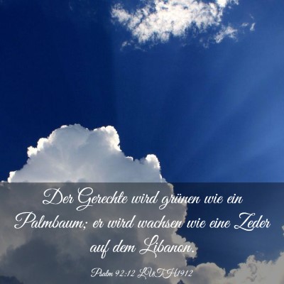 Picture 03 - Psalm 92:12 LUTH1912 - Der Gerechte wird grünen wie ein Palmbaum; er - Bible Verse Picture