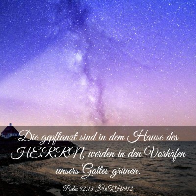 Picture 03 - Psalm 92:13 LUTH1912 - Die gepflanzt sind in dem Hause des HERRN, werden - Bible Verse Picture