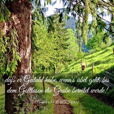 Picture 03 - Psalm 94:13 LUTH1912 - daß er Geduld habe, wenn's übel geht, bis dem - Bible Verse Picture