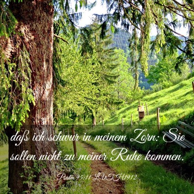 Picture 03 - Psalm 95:11 LUTH1912 - daß ich schwur in meinem Zorn: Sie sollen nicht - Bible Verse Picture