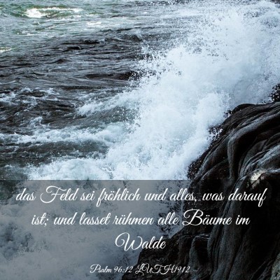 Picture 03 - Psalm 96:12 LUTH1912 - das Feld sei fröhlich und alles, was darauf ist; - Bible Verse Picture