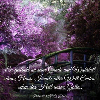 Picture 03 - Psalm 98:3 LUTH1912 - Er gedenkt an seine Gnade und Wahrheit dem Hause - Bible Verse Picture