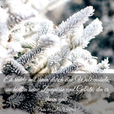 Picture 03 - Psalm 99:7 LUTH1912 - Er redete mit ihnen durch eine Wolkensäule; sie - Bible Verse Picture