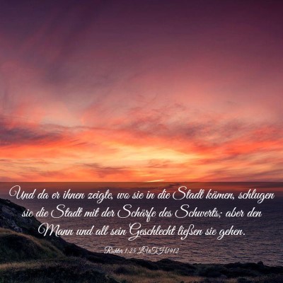 Picture 03 - Richter 1:25 LUTH1912 - Und da er ihnen zeigte, wo sie in die Stadt - Bible Verse Picture