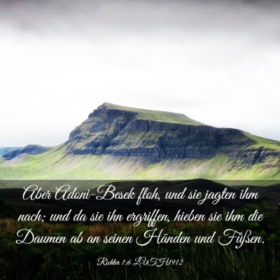Picture 03 - Richter 1:6 LUTH1912 - Aber Adoni-Besek floh, und sie jagten ihm nach; - Bible Verse Picture