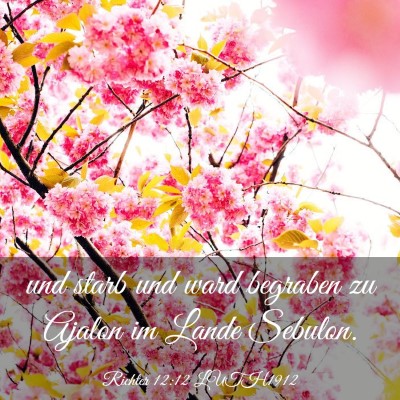 Picture 03 - Richter 12:12 LUTH1912 - und starb und ward begraben zu Ajalon im Lande - Bible Verse Picture