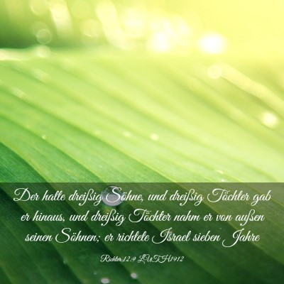 Picture 03 - Richter 12:9 LUTH1912 - Der hatte dreißig Söhne, und dreißig Töchter - Bible Verse Picture