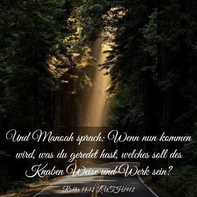 Picture 03 - Richter 13:12 LUTH1912 - Und Manoah sprach: Wenn nun kommen wird, was du - Bible Verse Picture