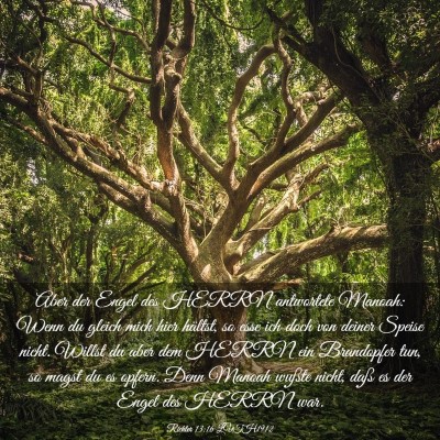 Picture 03 - Richter 13:16 LUTH1912 - Aber der Engel des HERRN antwortete Manoah: Wenn - Bible Verse Picture