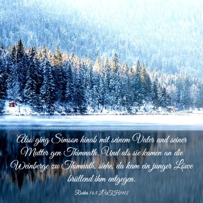 Picture 03 - Richter 14:5 LUTH1912 - Also ging Simson hinab mit seinem Vater und - Bible Verse Picture