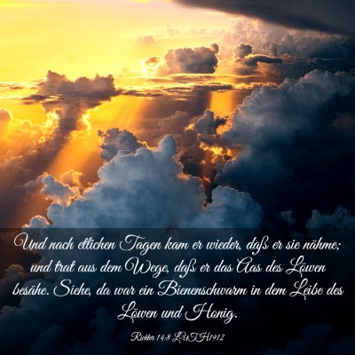 Picture 03 - Richter 14:8 LUTH1912 - Und nach etlichen Tagen kam er wieder, daß er - Bible Verse Picture