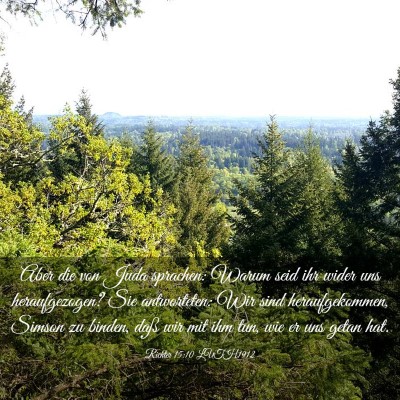 Picture 03 - Richter 15:10 LUTH1912 - Aber die von Juda sprachen: Warum seid ihr wider - Bible Verse Picture