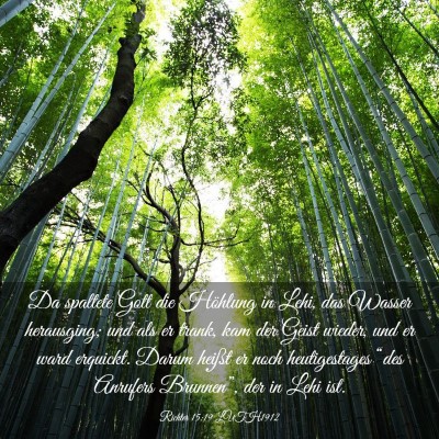 Picture 03 - Richter 15:19 LUTH1912 - Da spaltete Gott die Höhlung in Lehi, das Wasser - Bible Verse Picture