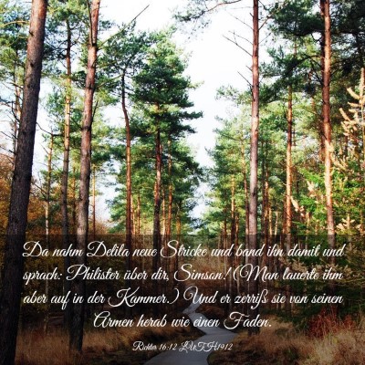 Picture 03 - Richter 16:12 LUTH1912 - Da nahm Delila neue Stricke und band ihn damit - Bible Verse Picture