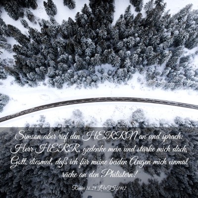 Picture 03 - Richter 16:28 LUTH1912 - Simson aber rief den HERRN an und sprach: Herr - Bible Verse Picture