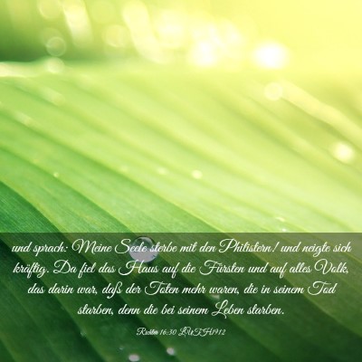 Picture 03 - Richter 16:30 LUTH1912 - und sprach: Meine Seele sterbe mit den - Bible Verse Picture