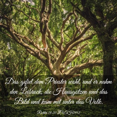 Picture 03 - Richter 18:20 LUTH1912 - Das gefiel dem Priester wohl, und er nahm den - Bible Verse Picture