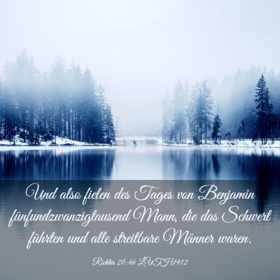 Picture 03 - Richter 20:46 LUTH1912 - Und also fielen des Tages von Benjamin - Bible Verse Picture