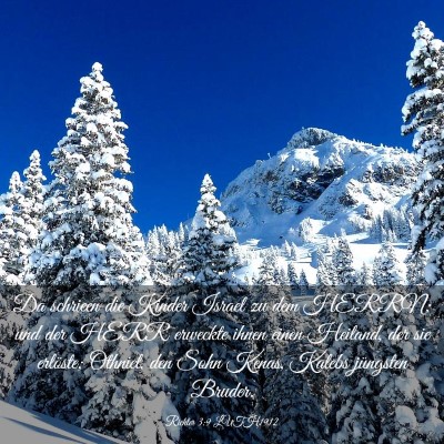 Picture 03 - Richter 3:9 LUTH1912 - Da schrieen die Kinder Israel zu dem HERRN; und - Bible Verse Picture