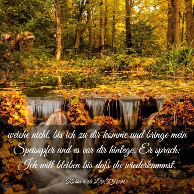 Picture 03 - Richter 6:18 LUTH1912 - weiche nicht, bis ich zu dir komme und bringe - Bible Verse Picture
