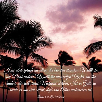 Picture 03 - Richter 6:31 LUTH1912 - Joas aber sprach zu allen, die bei ihm standen: - Bible Verse Picture