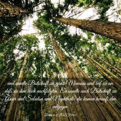 Picture 03 - Richter 6:35 LUTH1912 - und sandte Botschaft zu ganz Manasse und rief sie - Bible Verse Picture