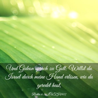 Picture 03 - Richter 6:36 LUTH1912 - Und Gideon sprach zu Gott: Willst du Israel durch - Bible Verse Picture
