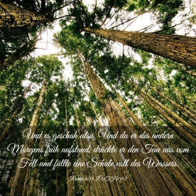 Picture 03 - Richter 6:38 LUTH1912 - Und es geschah also. Und da er des andern Morgens - Bible Verse Picture