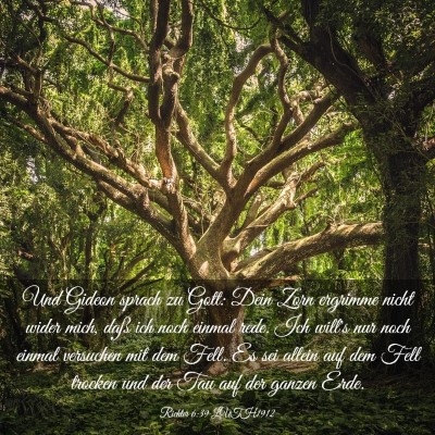 Picture 03 - Richter 6:39 LUTH1912 - Und Gideon sprach zu Gott: Dein Zorn ergrimme - Bible Verse Picture