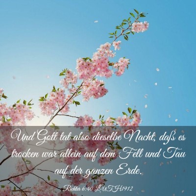 Picture 03 - Richter 6:40 LUTH1912 - Und Gott tat also dieselbe Nacht, daß es trocken - Bible Verse Picture