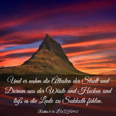 Picture 03 - Richter 8:16 LUTH1912 - Und er nahm die Ältesten der Stadt und Dornen - Bible Verse Picture