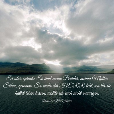 Picture 03 - Richter 8:19 LUTH1912 - Er aber sprach: Es sind meine Brüder, meiner - Bible Verse Picture