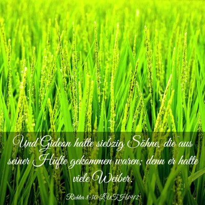 Picture 03 - Richter 8:30 LUTH1912 - Und Gideon hatte siebzig Söhne, die aus seiner - Bible Verse Picture