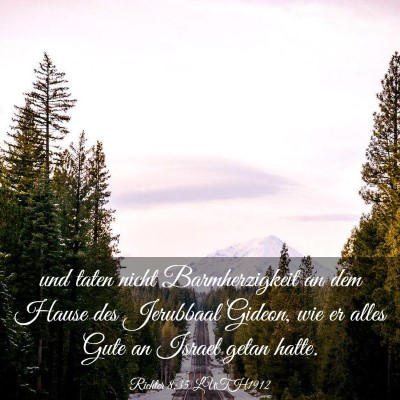 Picture 03 - Richter 8:35 LUTH1912 - und taten nicht Barmherzigkeit an dem Hause des - Bible Verse Picture